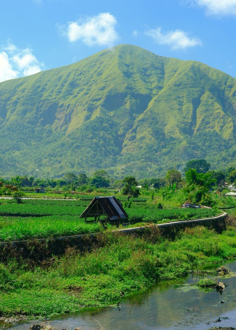 A grass-covered volcanic peak above a valley of rice terraces on Lombok, a small field shelter in the foreground.